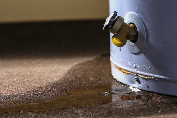 Best Sewage cleanup and water damage restoration  in Crewe, VA