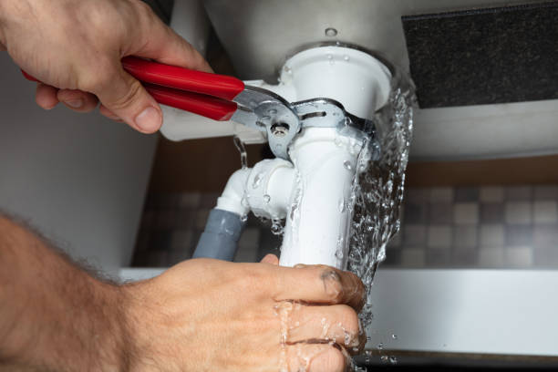 Best Water damage cleanup near me  in Crewe, VA