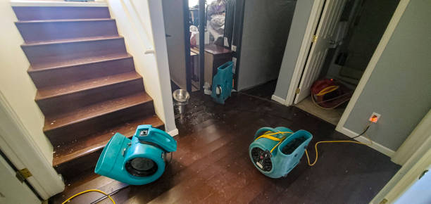 Best Flood damage cleanup  in Crewe, VA