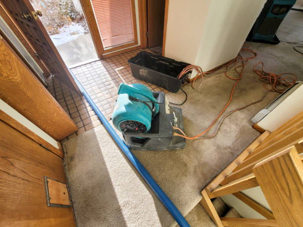 24/7 water damage repair in Crewe, VA