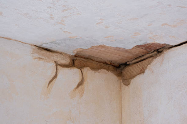 Trusted Crewe, VA Water damage restoration Experts