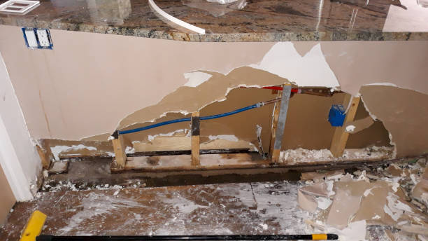 Best Fire Damage Restoration  in Crewe, VA