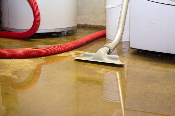 Best Emergency water damage restoration  in Crewe, VA
