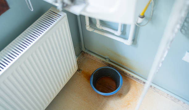 Best 24/7 water damage repair  in Crewe, VA