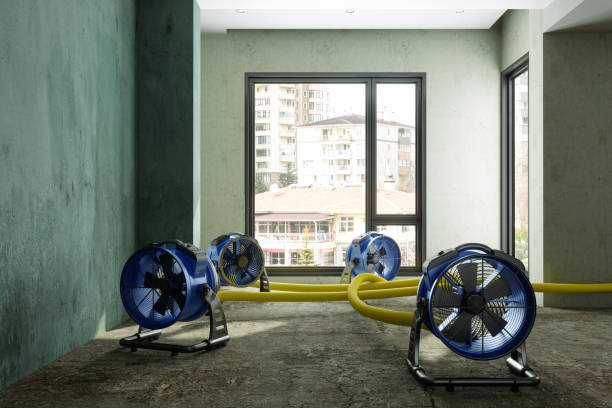 Best Water damage contractors near me  in Crewe, VA