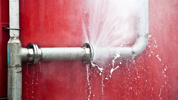 Best Professional water damage repair  in Crewe, VA