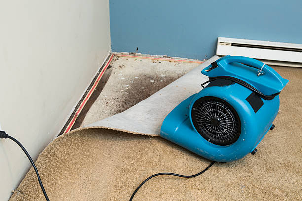 Best Ceiling water damage repair  in Crewe, VA