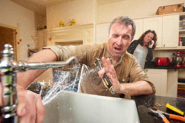 Best Flood damage cleanup  in Crewe, VA
